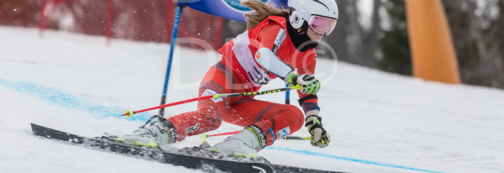 Donald Duck Wintergames
